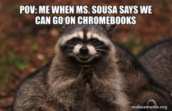 Evil Plotting Raccoon