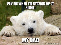 Popular Opinion Bear