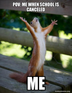Happy Squirrel