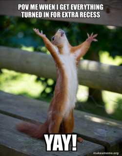 Happy Squirrel