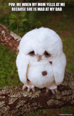 Sad Owl