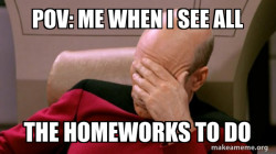 Picard Facepalm