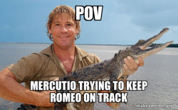 Steve irwin