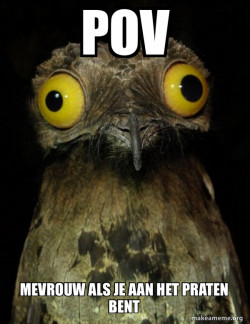 Weird Stuff I do Potoo