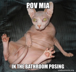 Hairless Cat