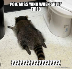 Drunk Raccoon