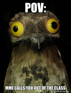 Weird Stuff I do Potoo