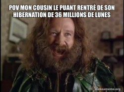 Robin Williams - What year is it? Jumanji