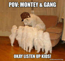 Scumbag Storytelling Dog