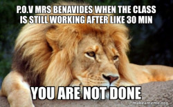 Confession Lion