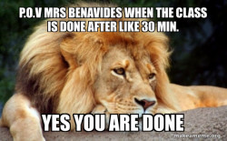 Confession Lion