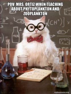 Chemistry Cat