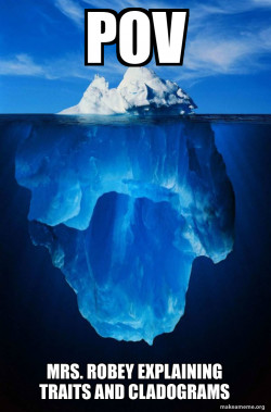 Iceberg
