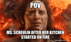 Frodo it's over it's done