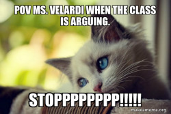 First World Cat Problems