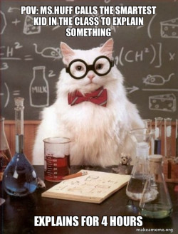 Chemistry Cat