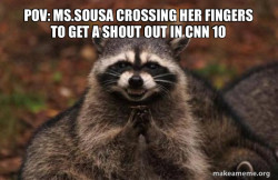 Evil Plotting Raccoon
