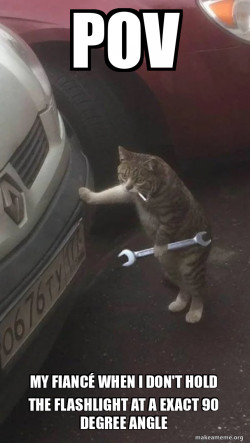 Mechanic Cat