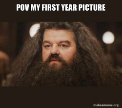 Hagrid - I should not have said that