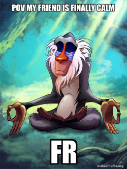 Rafiki Meditating - Lion King