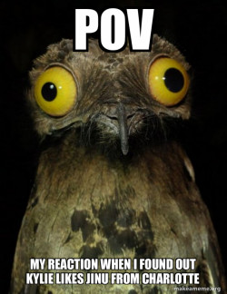 Weird Stuff I do Potoo