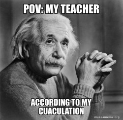 Serious Albert Einstein
