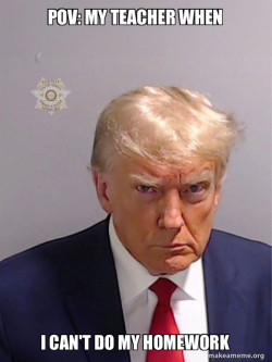 Donald Trump Mugshot