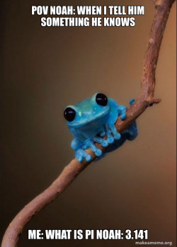 Small Fact Frog