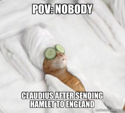Pampered Cat Meme