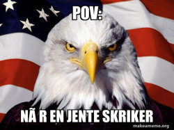 American Pride Eagle