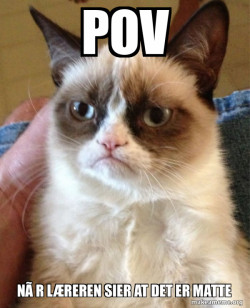 Grumpy Cat