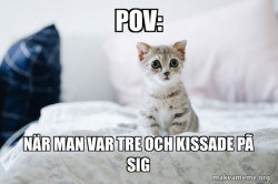 Cute Kitten
