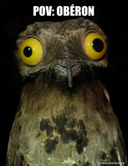 Weird Stuff I do Potoo