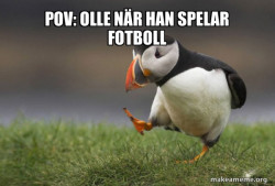 Unpopular Opinion Puffin
