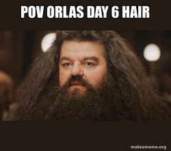 Hagrid - I should not have said that