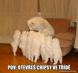 Storytelling Dog