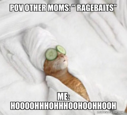 Pampered Cat Memeð¤¤