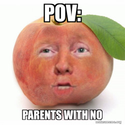 Impeached Donald Trump