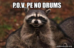 Evil Plotting Raccoon