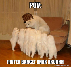 Scumbag Storytelling Dog