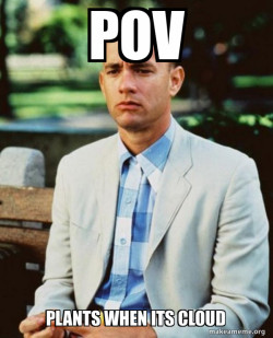 Forrest Gump