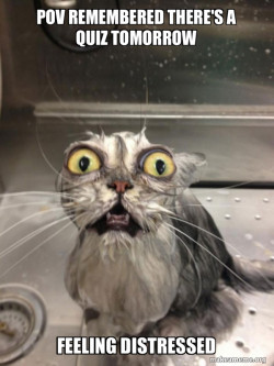 Cat bath