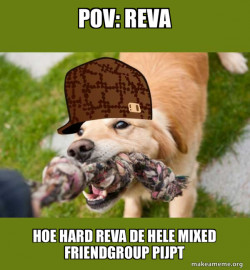 Scumbag dog