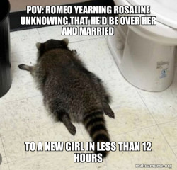 Drunk Raccoon