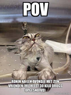 Cat Bath Returns