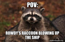 Evil Plotting Raccoon