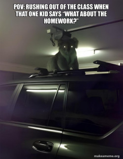 Drop Bear
