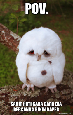 Sad Owl