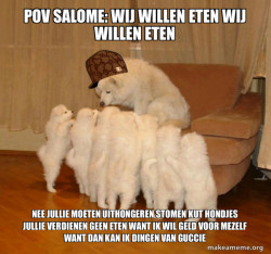 Scumbag Storytelling Dog
