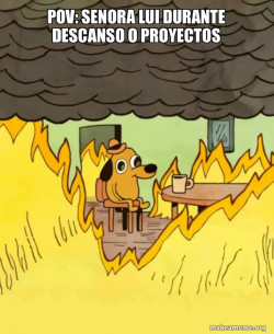 This Is Fine